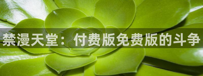 omofun下载官网入口：禁漫天堂：付费版免费版的斗争