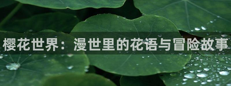 omofun网页版免费：樱花世界：漫世里的花语与冒险故事
