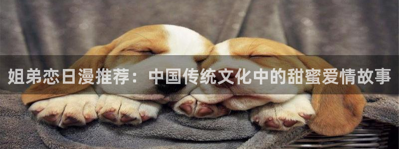 下载omofun动漫：姐弟恋日漫推荐：中国传统文化中的甜蜜爱情故事