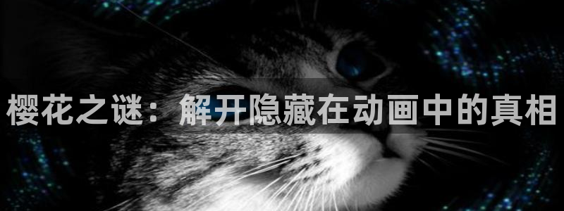 omofun 宕卧：樱花之谜：解开隐藏在动画中的真相