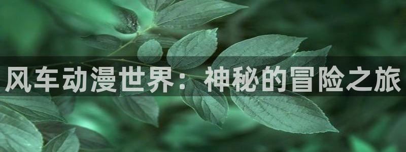 omofun动漫官网app下载：风车动漫世界：神秘的冒险之旅