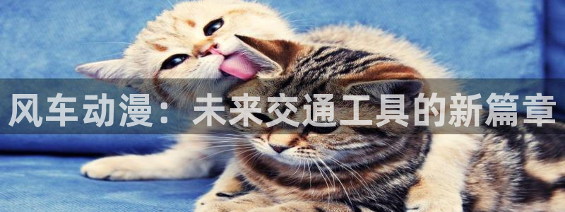 omofun.：风车动漫：未来交通工具的新篇章