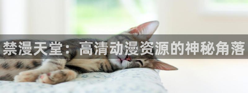 omofun全新：禁漫天堂：高清动漫资源的神秘角落