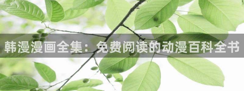 omofun免费看动漫：韩漫漫画全集：免费阅读的动漫百科全书