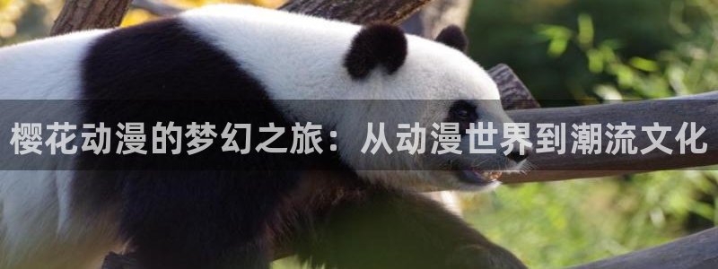 omofun网页版官网：樱花动漫的梦幻之旅：从动漫世界到潮流文化
