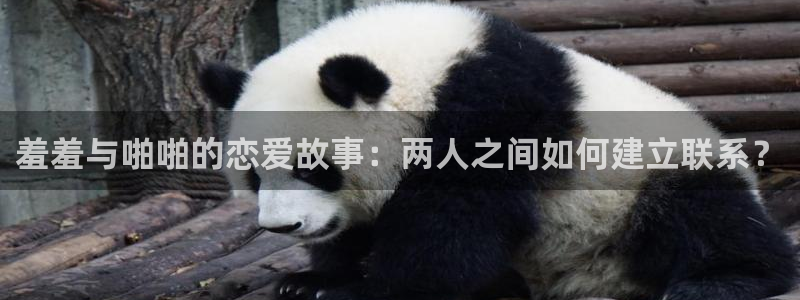 omofun最新