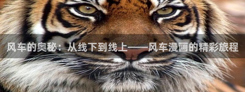 omofun纯净版2024